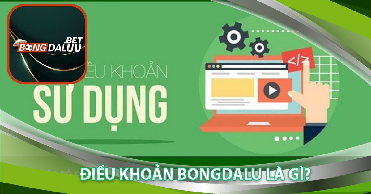 Điều khoản bongdalu là gì?