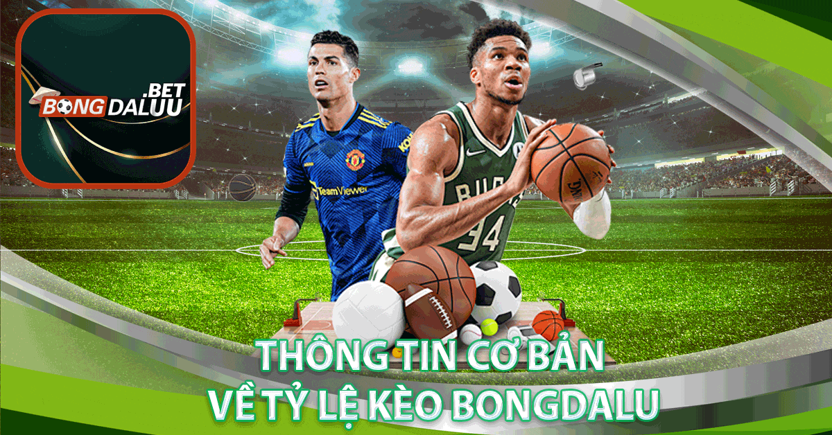 Thông tin cơ bản về tỷ lệ kèo bongdalu