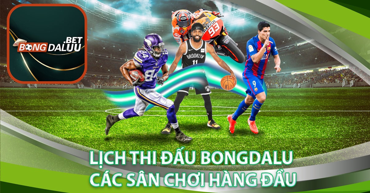 Lịch thi đấu bongdalu các sân chơi hàng đầu